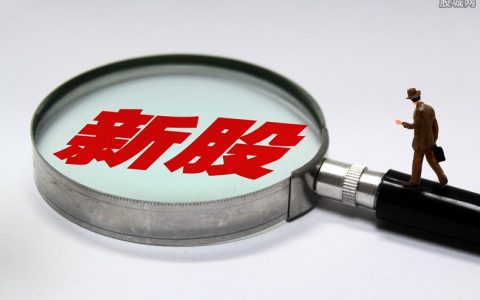 国际期货多单占比计算